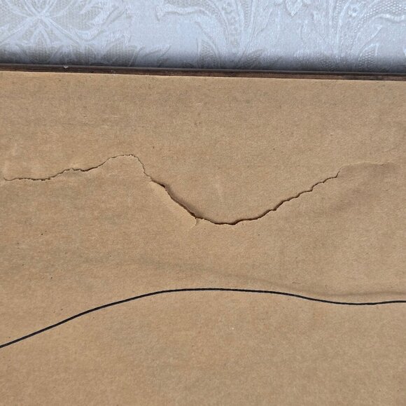 Vintage 1950's Woodblock Print "Owl and Cherry" by Eiichi Kotozuka Framed Glass - Picture 14 of 16